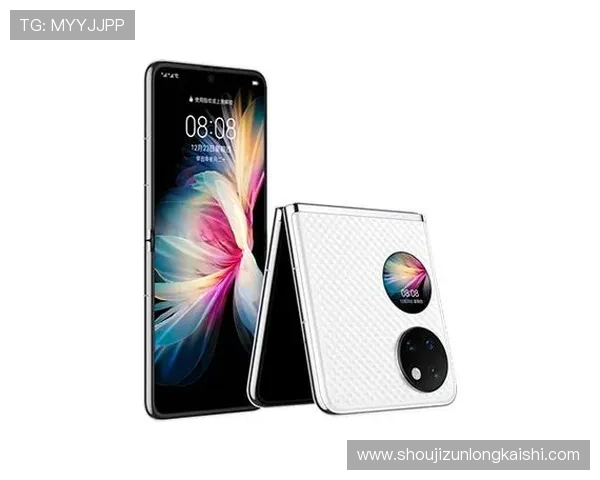 尊龙app电脑版下载安装失败怎么办？详细解决方案推荐